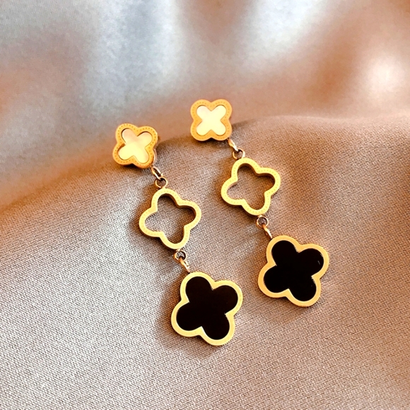 Stainless steel jewelry Accessories - Beautiful elegant Earrings
